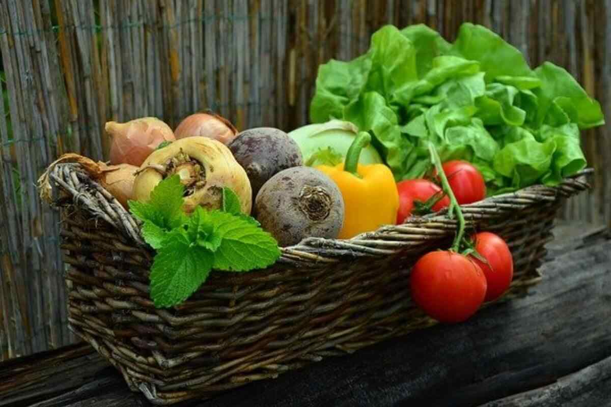sin or slim vegetable basket weight loss